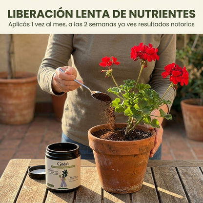Nutrición Mineral NPK para plantas — Gilda's